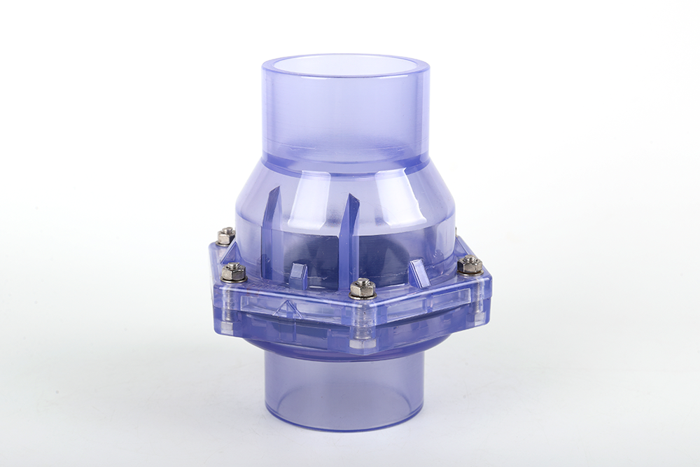 东莞透明翻板式止回阀